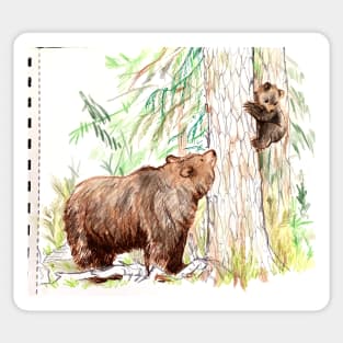 Grizzly Bear mom and cub sketchbook version Sticker